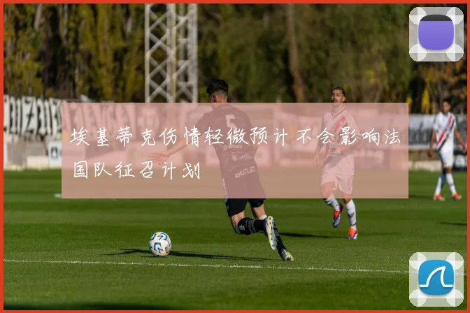 埃基蒂克伤情轻微预计不会影响法国队征召计划