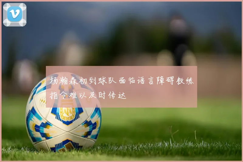杨瀚森初到球队面临语言障碍教练指令难以及时传达